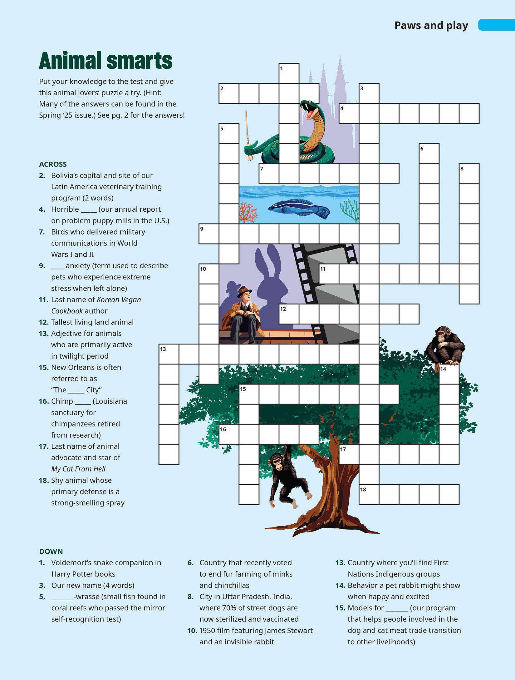 Crossword puzzle animal welfare blank