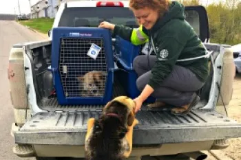 Spay/neuter clinic